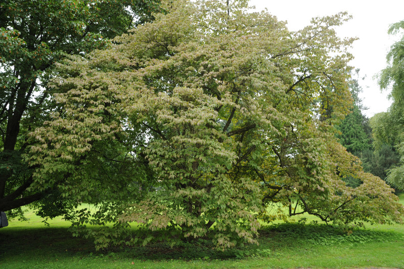 Bildautor: Andreas Gomolka